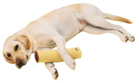 zuttone ずっとね 老犬介護用 床ずれ予防クッション スティック型 大