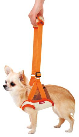 zuttone ずっとね 老犬介護用 歩行補助ハーネス 前足用K S | ペティオ