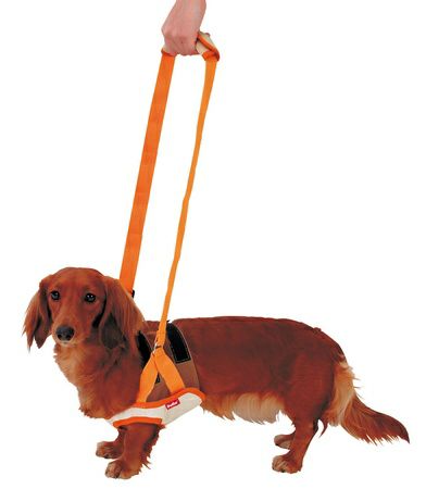 zuttone ずっとね 老犬介護用 歩行補助ハーネス 前足用K M | ペティオ