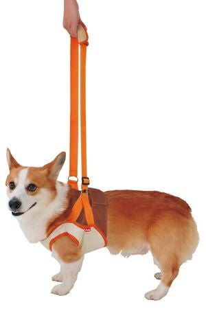 犬用ケアハーネス。お散歩。介護用 介護ハーネス 用歩行補助ハーネス 犬用ハーネス リード 老犬 介護 障害