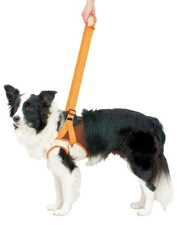zuttone ずっとね 老犬介護用 歩行補助ハーネス 前足用K 2L | ペティオ
