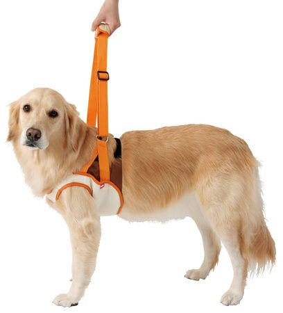 zuttone ずっとね 老犬介護用 歩行補助ハーネス 前足用K 3L | ペティオ
