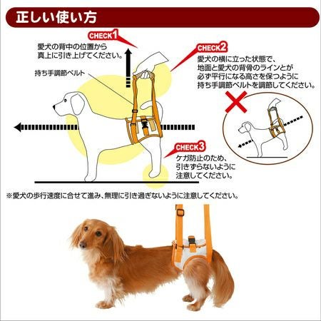 zuttone ずっとね 老犬介護用 歩行補助ハーネス 後足用K M | ペティオ
