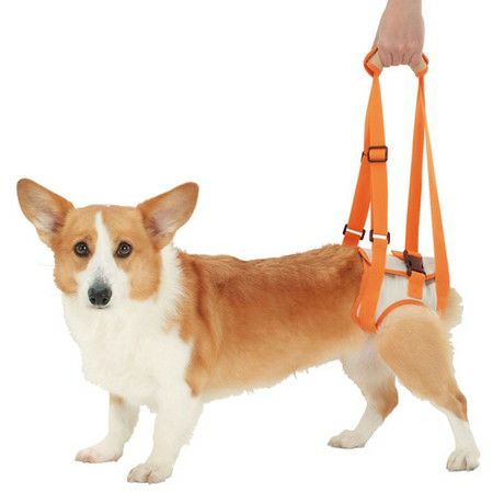zuttone ずっとね 老犬介護用 歩行補助ハーネス 後足用K L | ペティオ