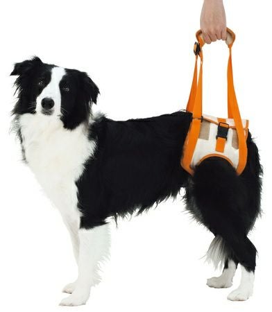 upsee 歩行補助ハーネスセット マックス介護ハーネス（犬猫兼用） - 犬用介護用品専門店 M.E. Maxx