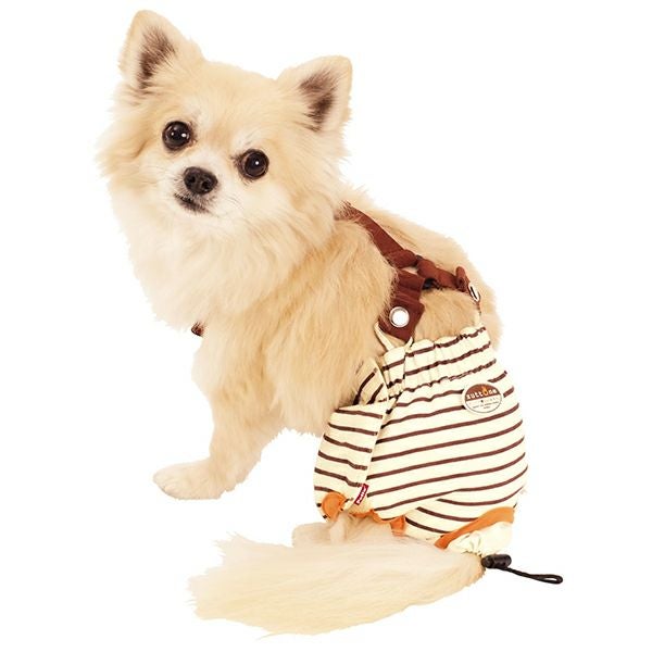 zuttone ずっとね 老犬介護用 おむつパンツK S | ペティオ オンライン