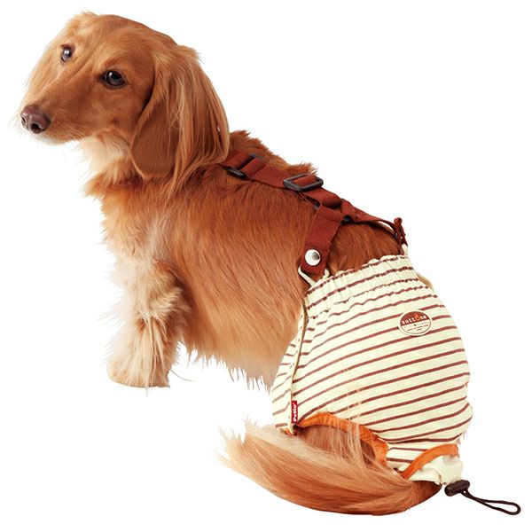 zuttone ずっとね 老犬介護用 おむつパンツK M | ペティオ オンライン