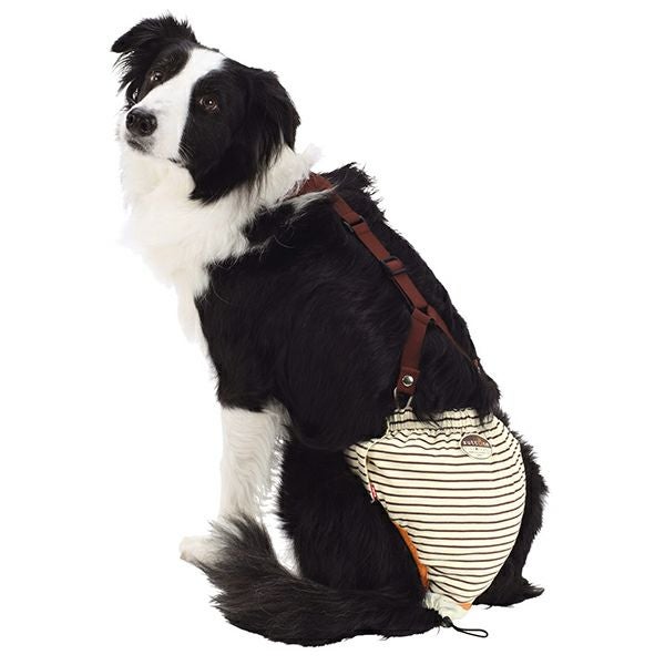 zuttone ずっとね 老犬介護用 おむつパンツK 2L | ペティオ オンライン