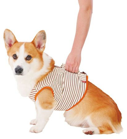 zuttone ずっとね 老犬介護用 補助機能付ベストK L | ペティオ 