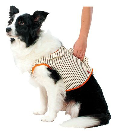 zuttone ずっとね 老犬介護用 補助機能付ベストK 2L | ペティオ zuttone ずっとね 老犬介護用 補助機能付ベストK 2L | ペティオ