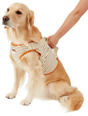 zuttone ずっとね 老犬介護用 補助機能付ベストK 3L | ペティオ