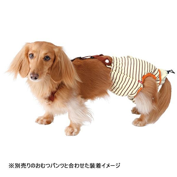 zuttone ずっとね 老犬介護用 おむつパッドK M | ペティオ オンライン