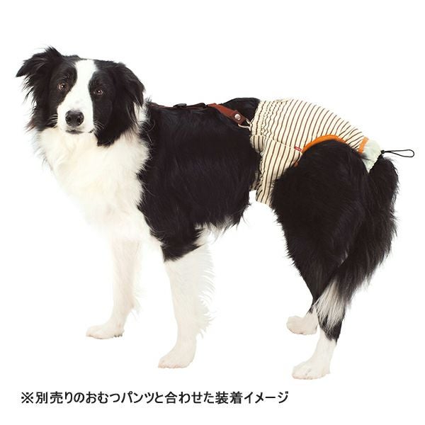 zuttone ずっとね 老犬介護用 おむつパッドK 2L | ペティオ オンライン