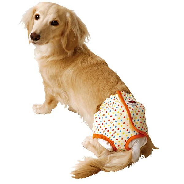 ワンちゃん用のおむつカバー2つ♡46cm&42cm 20%OFF！スーパーSALE】zuttone ずっとね 老犬介護用 紙おむつカバー M