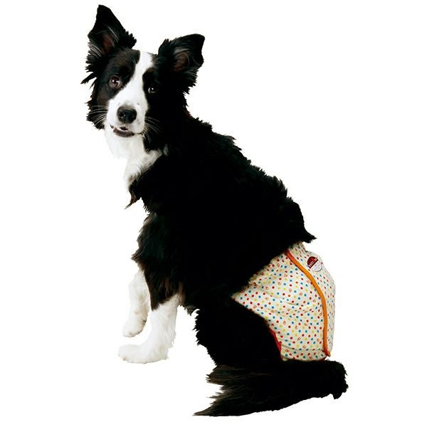 zuttone ずっとね 老犬介護用 紙おむつカバー 2L | ペティオ