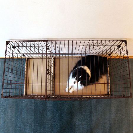 犬用 しつけ ケージ ペットケージ ツールーム ドッグサークル 30%OFF！買い替え特集】PMJ ツールーム ドッグサークル【会員様限定