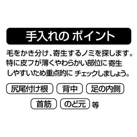 商品イメージ