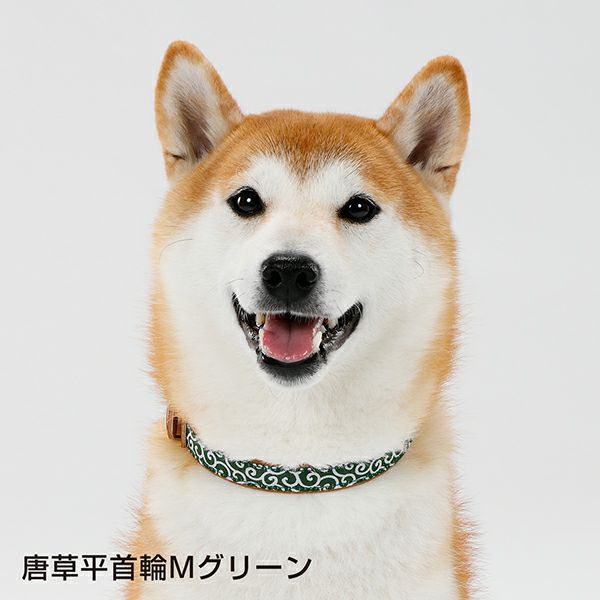 商品イメージ