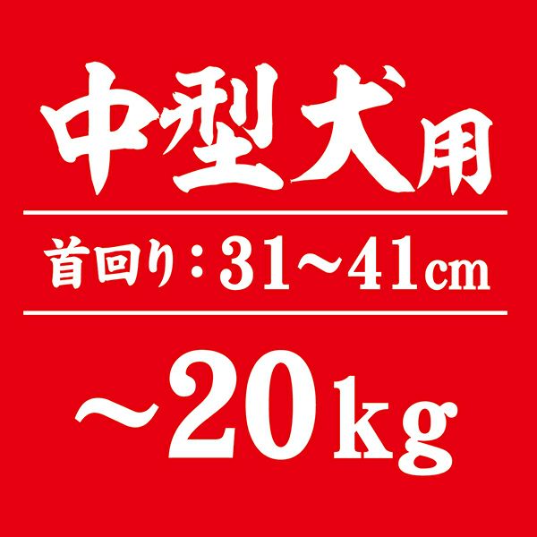 商品イメージ
