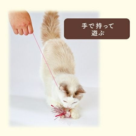 15%OFF！スーパーSALE】Add.Mate アドメイト Happiness Cat ハピネス