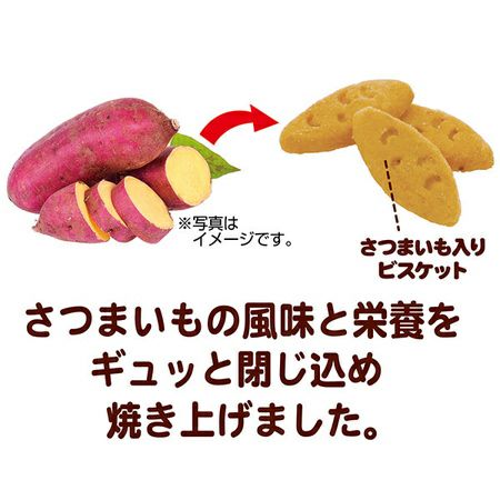 商品イメージ