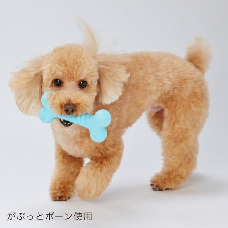 商品イメージ