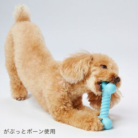 商品イメージ