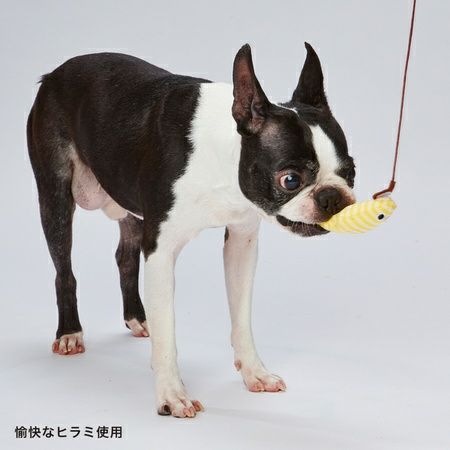 Add.Mate アドメイト ふわふわパピートイじゃらし 元気なワニオ