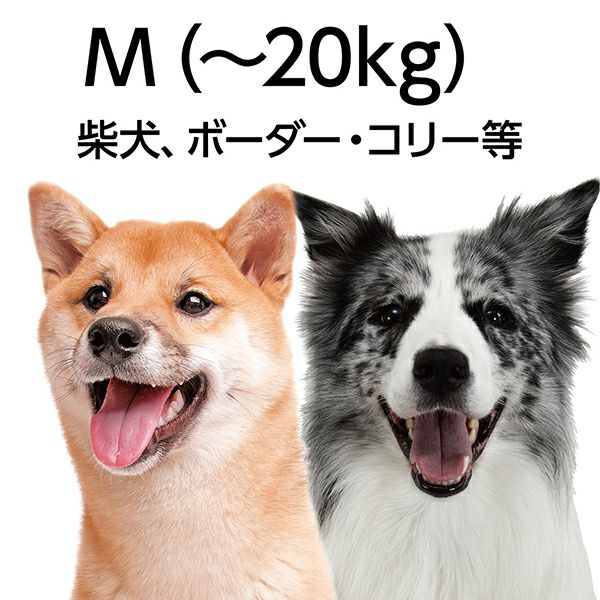 商品イメージ