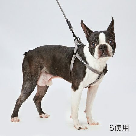 20%OFF！スーパーSALE】Porta ポルタ ハーネス S シルバーグレー【会員