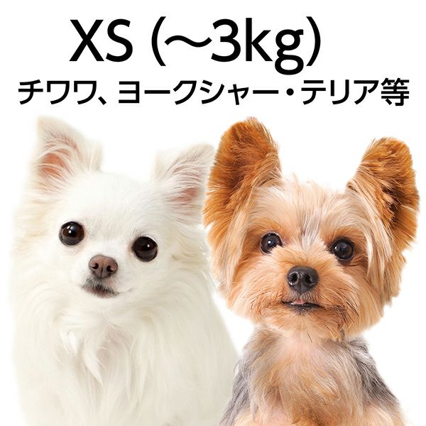 Add.Mate アドメイト ハーティウォーク ハーネス XSネイビー