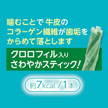プラクト　10袋 Plact プラクト 総合栄養食 無添加 ササミビッツ 野菜ミックス 80g
