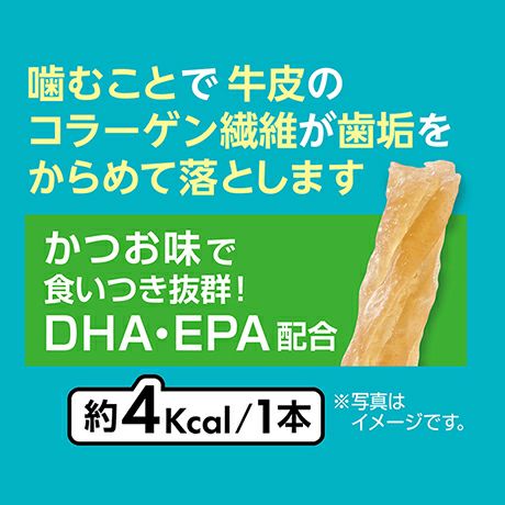 10%OFF！スーパーSALE】Plact プラクト ねこちゃんの 歯みがきデンタル