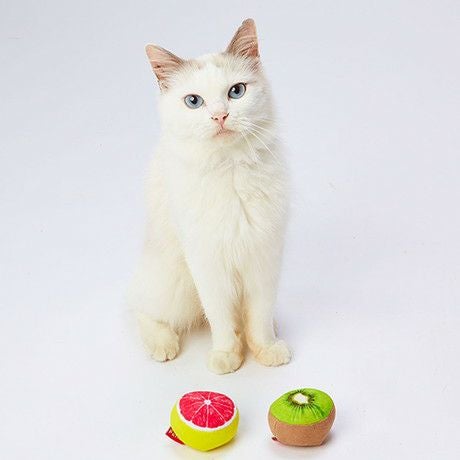 猫用おもちゃ トロピカルフルーツボール 2個セット グレープフルーツ