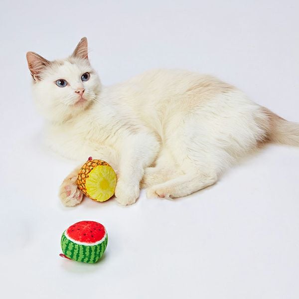 猫用おもちゃ トロピカルフルーツボール 2個セット パイナップル