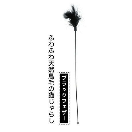 猫用おもちゃ necoco ネココ BLACK TACT 猫じゃらし ブラックフェザー