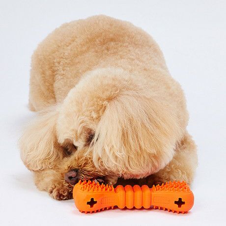 【入手困難】GUCCI DOG 犬用 ラバードッグトイ 赤 骨ボーン 000000005053-03.jpg?size=l&w=
