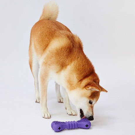 10%OFF！おうち時間特集】犬用おもちゃ TREATS LOVER トリーツラバー
