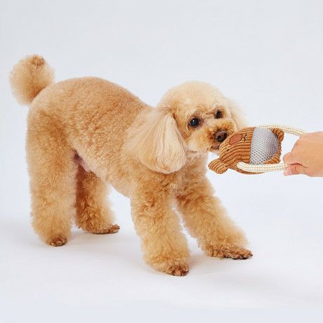 Add.Mate アドメイト 犬用おもちゃ ふわふわデンタルロープぬいぐるみ
