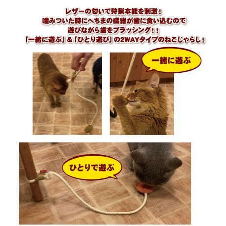 商品イメージ