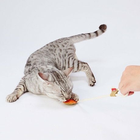 商品イメージ