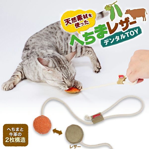 猫用品セット ネコちゃん用 ウッドワンサークル スターターセット｜みんなのペット