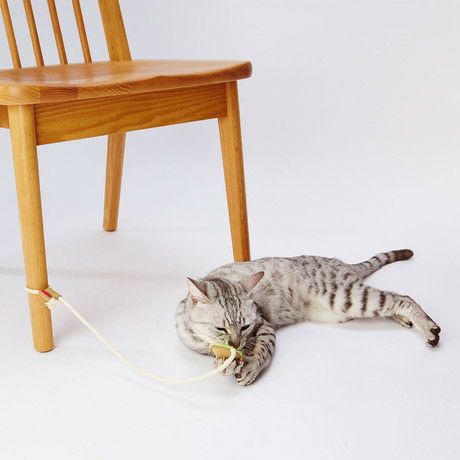 10%OFF！おうち時間特集】猫用おもちゃ へちまレザー デンタルTOY トイ