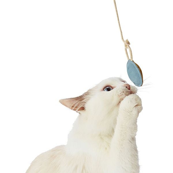 猫用品 猫用おもちゃ necoco ネココ レザー猫ボール 2個セット | ペティオ