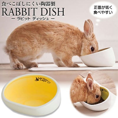 うさぎ用品 | ペティオ オンライン ショップ本店