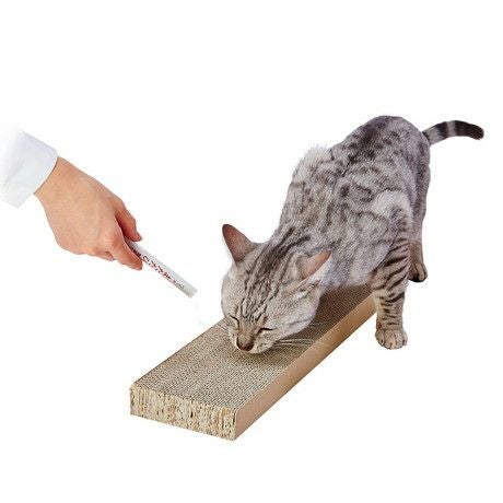 ねこちゃんの素材そのまま またたびスティック 10包＋1包 虫癭果