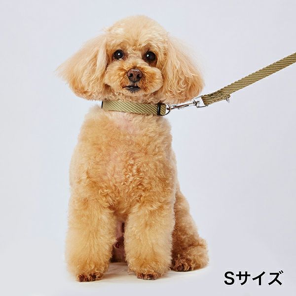 Add.Mate アドメイト 犬用首輪 ソフトスキップカラーLグリーン