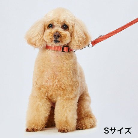 Add.Mate アドメイト 犬用引き紐 ソフトスキップリードSSレッド