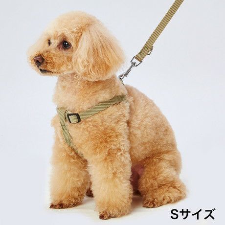 Add.Mate アドメイト 犬用胴輪 ソフトスキップハーネスSSグリーン