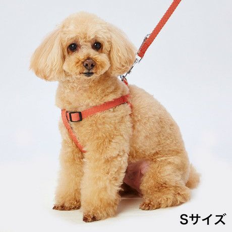 20%OFF！スーパーSALE】Add.Mate アドメイト 犬用胴輪 ソフトスキップ